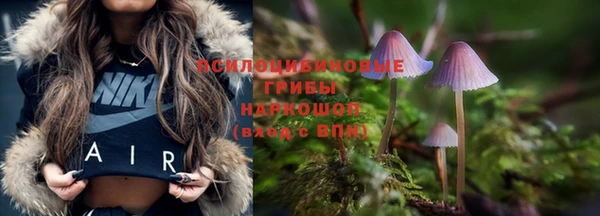 гидропоника Баксан