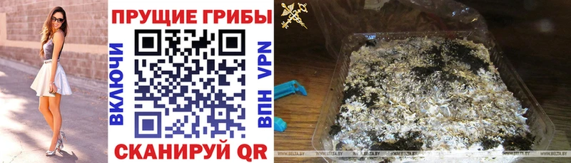 наркота  Верхнеуральск  Галлюциногенные грибы GOLDEN TEACHER 